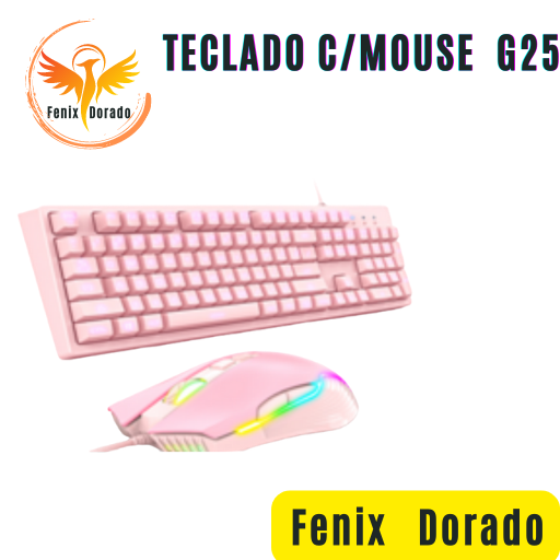 TECLADO G25