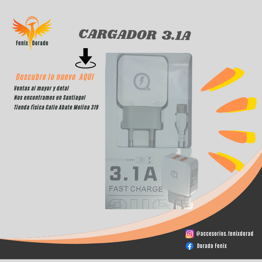 CARGADOR-Q-3.1