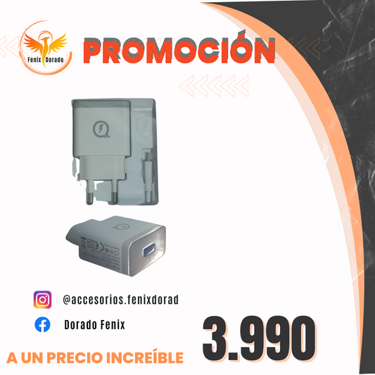 CARGADOR Q 3.0