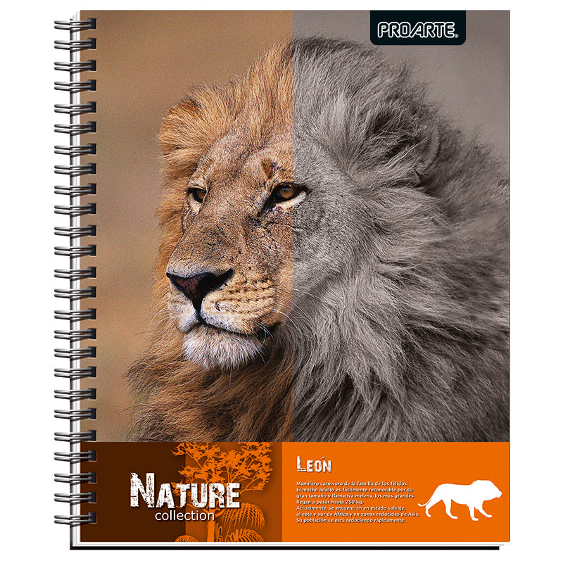 CUAD. UNIV PROARTE TED/ ED NATURE 100 HJ 7MM