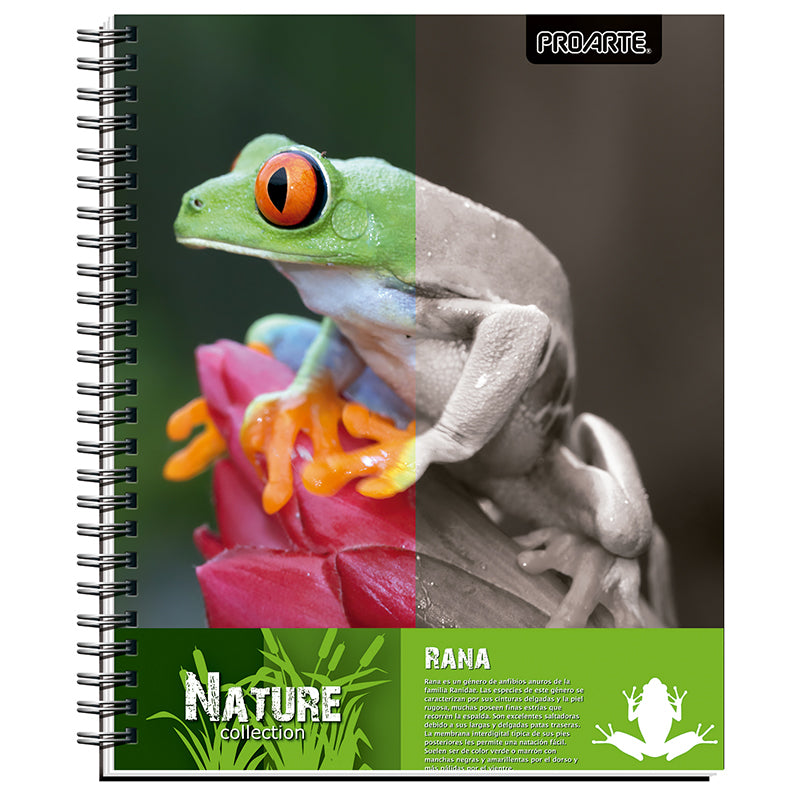 CUAD. UNIV PROARTE TED/ ED NATURE 100 HJ 7MM