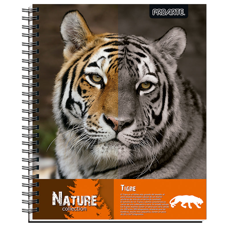 CUAD. UNIV PROARTE TED/ ED NATURE 100 HJ 7MM