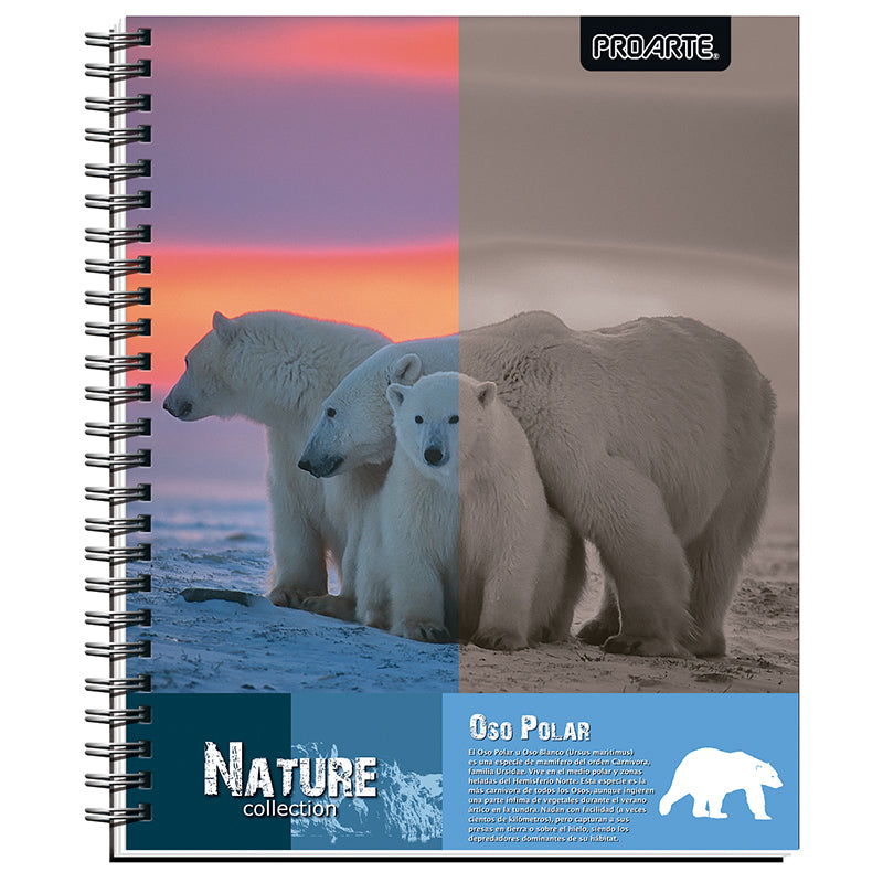 CUAD. UNIV PROARTE TED/ ED NATURE 100 HJ 7MM