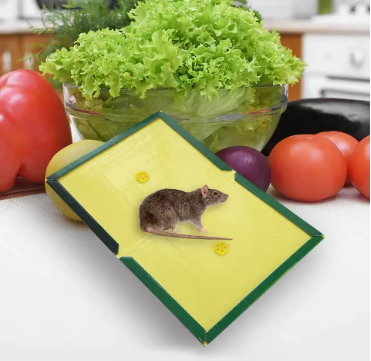 Tablero Adhesivo para Ratones, Pegamento para Ratones, Trampa para Ratones